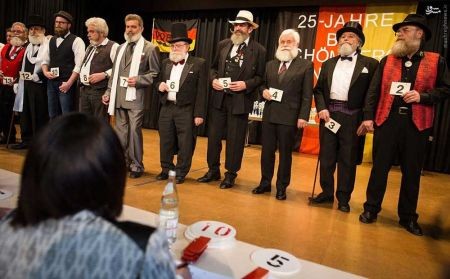 اخبارگوناگون,خبرهای گوناگون,سیبیل