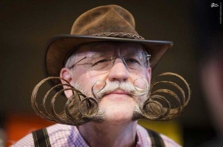 اخبارگوناگون,خبرهای گوناگون,سیبیل