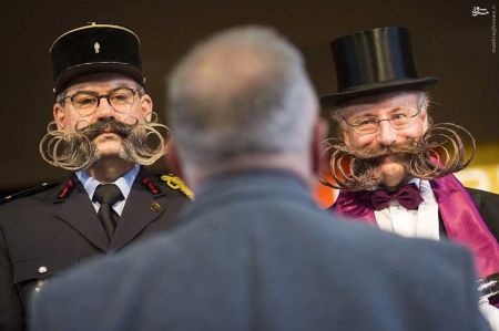 اخبارگوناگون,خبرهای گوناگون,سیبیل