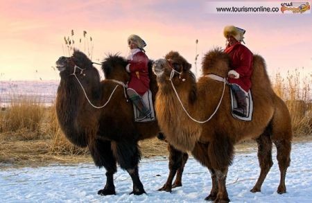 اخبارگوناگون,خبرهای گوناگون,مغولستان