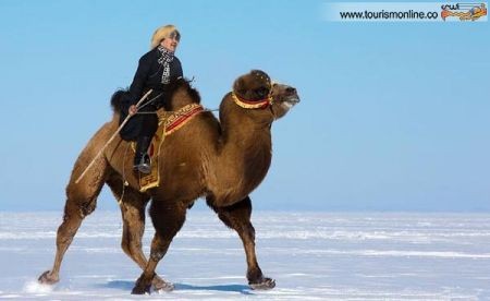 اخبارگوناگون,خبرهای گوناگون,مغولستان