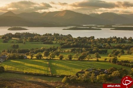 اخبارگوناگون,خبرهای گوناگون,اسکاتلند