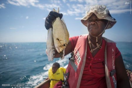 اخبارگوناگون,خبرهای گوناگون,جامائیکا