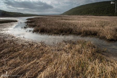 اخبارگوناگون,خبرهای گوناگون,جامائیکا