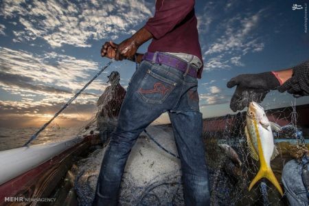 اخبارگوناگون,خبرهای گوناگون,جامائیکا