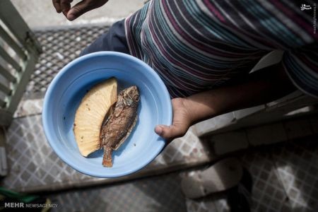 اخبارگوناگون,خبرهای گوناگون,جامائیکا