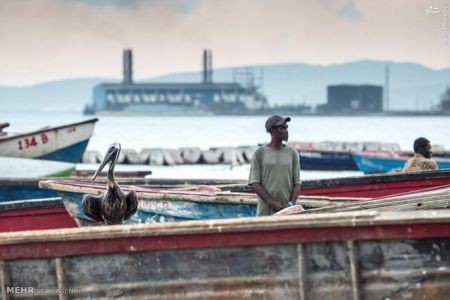 اخبارگوناگون,خبرهای گوناگون,جامائیکا