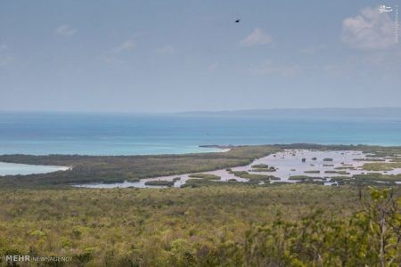 اخبارگوناگون,خبرهای گوناگون,جامائیکا