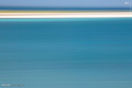 اخبارگوناگون,خبرهای گوناگون,جامائیکا