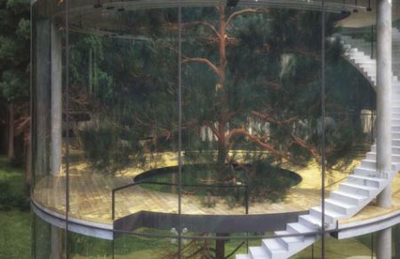 اخبارگوناگون,خبرهای گوناگون,لوله شیشه ای