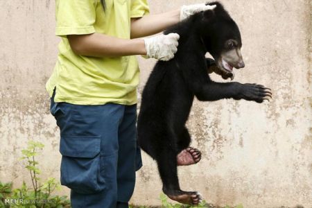 اخبارگوناگون,خبرهای گوناگون,گوناگون