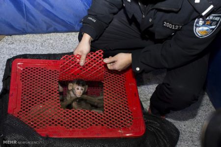 اخبارگوناگون,خبرهای گوناگون,گوناگون