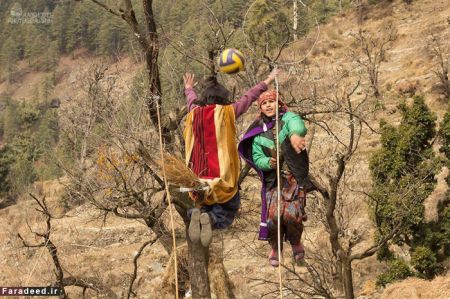 اخبارگوناگون,خبرهای گوناگون,جاروی پرنده