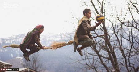 اخبارگوناگون,خبرهای گوناگون,جاروی پرنده