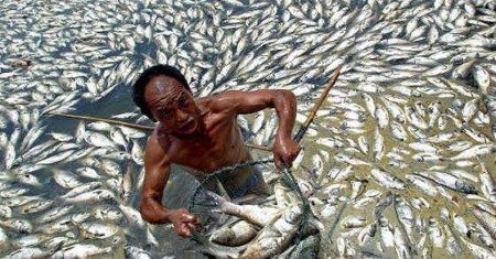 اخبارگوناگون,خبرهای گوناگون,بدترین آلوده کنندگان