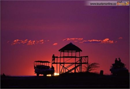 اخبارگوناگون,خبرهای گوناگون, سافاری