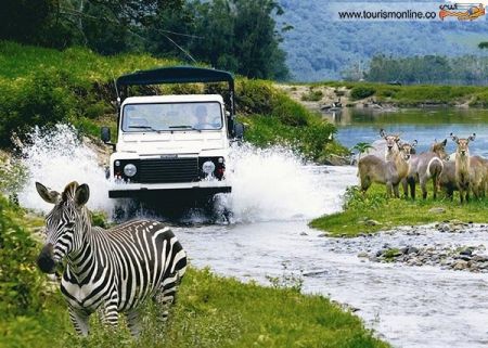 اخبارگوناگون,خبرهای گوناگون, سافاری