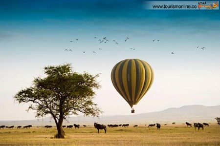 اخبارگوناگون,خبرهای گوناگون, سافاری