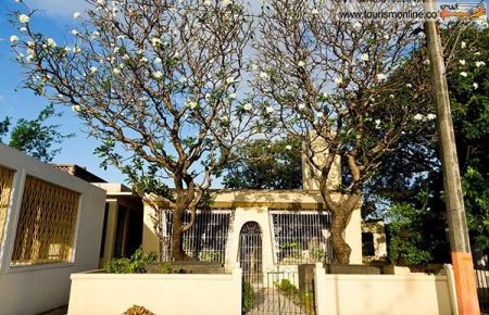 اخبارگوناگون,خبرهای گوناگون,قبرستان