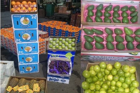 نارنگیهای ممنوعه در حال توزیع میان فرهنگیان است
