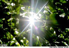  اخباراجتماعی ,خبرهای  اجتماعی  ,هواشناسی 
