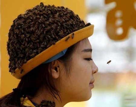 عکسهای جالب,جشنواره زنبورداری ,عکسهای جذاب (http://www.oojal.rzb.ir/post/1595)