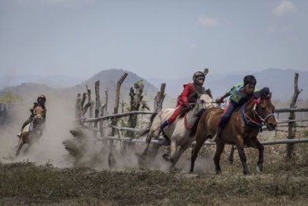 عکسهای جالب,تصاویر دیدنی,مسابقه اسب سواری
