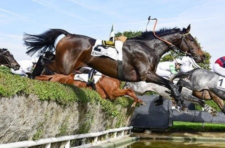 عکسهای جالب,عکسهای جذاب,مسابقات اسب سواری
