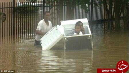 اخبارگوناگون,خبرهای گوناگون,قو