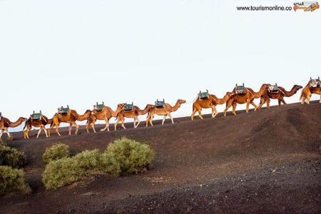 اخبارگوناگون,خبرهای گوناگون,جزایر قناری