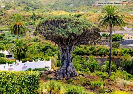 اخبارگوناگون,خبرهای گوناگون,جزایر قناری