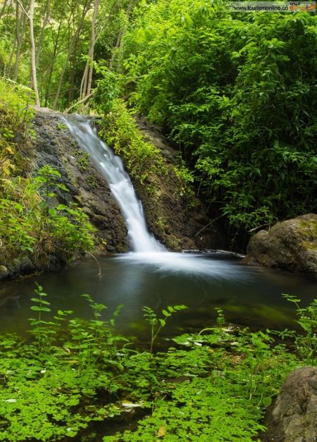 اخبارگوناگون,خبرهای گوناگون,جزایر قناری