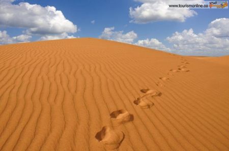 اخبارگوناگون,خبرهای گوناگون,جزایر قناری