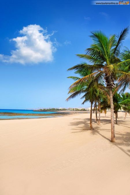 اخبارگوناگون,خبرهای گوناگون,جزایر قناری