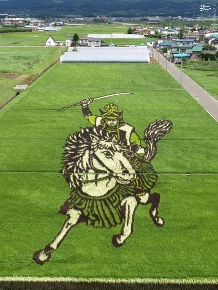 اخبارگوناگون,خبرهای گوناگون,خلاقیت 