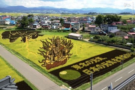 اخبارگوناگون,خبرهای گوناگون,خلاقیت 