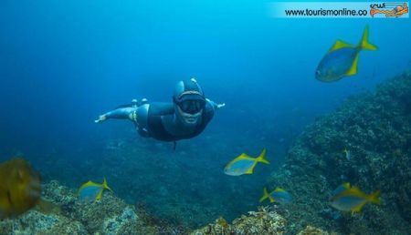 اخبارگوناگون,خبرهای گوناگون,زیر آب