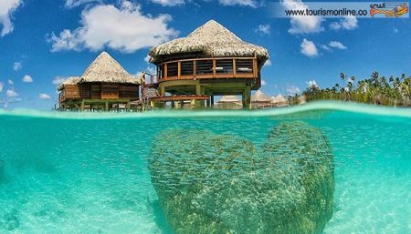 اخبارگوناگون,خبرهای گوناگون,زیر آب