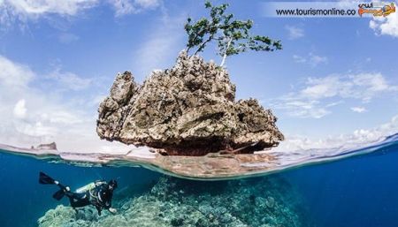 اخبارگوناگون,خبرهای گوناگون,زیر آب