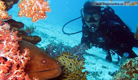 اخبارگوناگون,خبرهای گوناگون,زیر آب