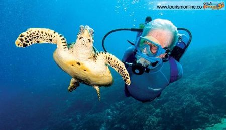 اخبارگوناگون,خبرهای گوناگون,زیر آب