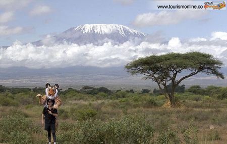 اخبارگوناگون,خبرهای گوناگون,ببر اخبارگوناگون,خبرهای گوناگون,ببر