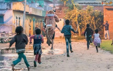 اخبارگوناگون,خبرهای گوناگون,ببر اخبارگوناگون,خبرهای گوناگون,ببر