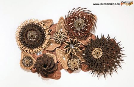 اخبارگوناگون,خبرهای گوناگون,صخره های مرجانی اخبارگوناگون,خبرهای گوناگون,صخره های مرجانی