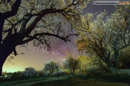 اخبارگوناگون,خبرهای گوناگون,آسمان