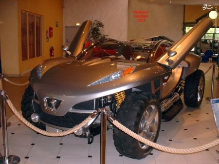 اخبارگوناگون,خبرهای گوناگون,پژو