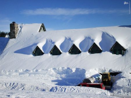 اخبارگوناگون,خبرهای گوناگون,برف