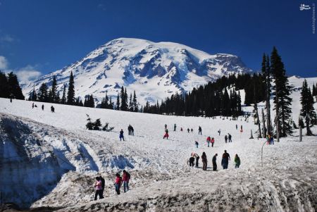اخبارگوناگون,خبرهای گوناگون,برف