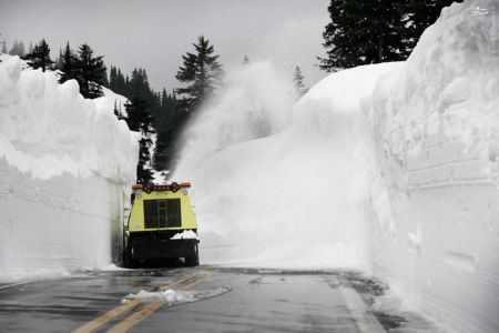 اخبارگوناگون,خبرهای گوناگون,برف