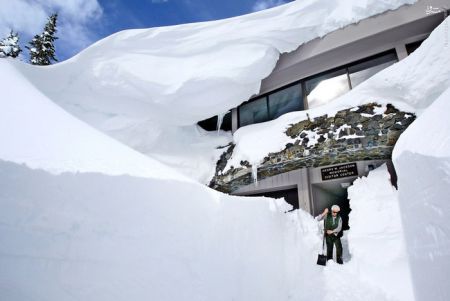 اخبارگوناگون,خبرهای گوناگون,برف